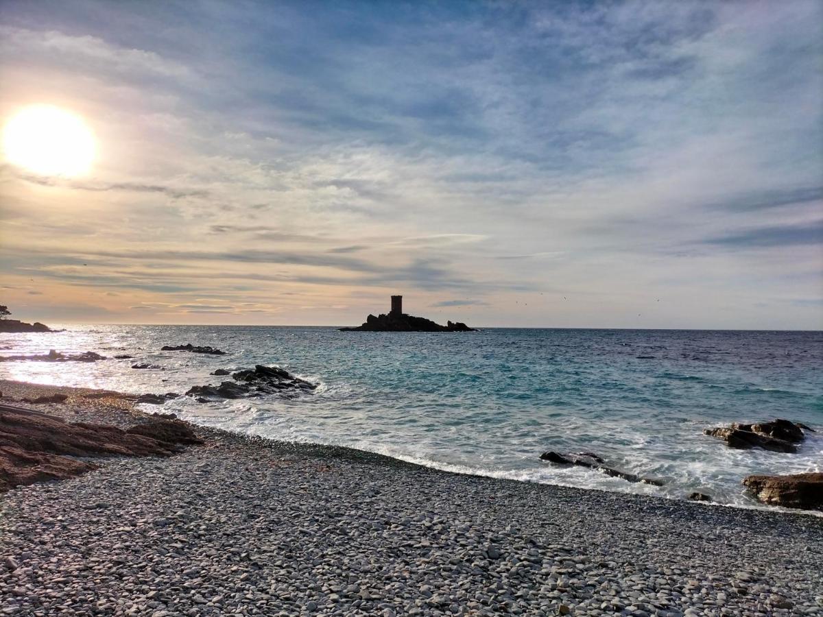 Superbe Appartement Avec Vue Mer Et Piscine Saint-Raphaël Esterno foto